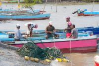 Stronger research needed to guide fisheries investment – Mustapha