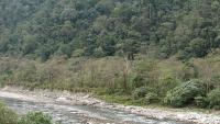 Forest approval sought for Arunachal hydel project that may impact 23 lakh trees