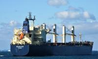 Transworld Shipping Lines signs agreement to buy vessel for $16.5 million
