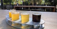 People aren’t drinking like they used to. Can WA beer, wine industries adapt?