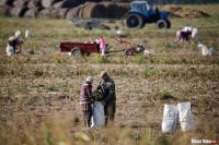 USA lifted sanctions from Belaruskali CEO