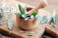 Ancient Sage Herb Draws Renewed Interest for Memory, Menopause and Natural Health Benefits