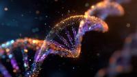 CSC Science Team Asks: What Should We Expect to Find in Nature?