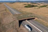 Largest Wildlife Overpass in North America Allows Animals to Cross Highway Safely for the First Time in Decades