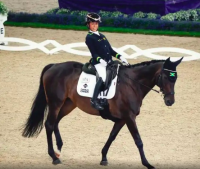 Jamaica’s Tegan Vincent-Cooke makes para dressage history at FEI World Championships