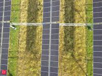 New policy in works to boost agrivoltaics in India; enhance farmers' income via energy generation