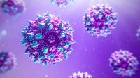 Where virus and disease names come from: Rivers and rats, people and pets
