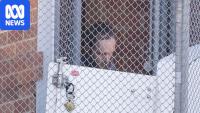 What happens next in court case for Helen Haines's accused attacker?
