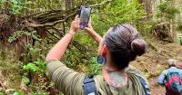 Oregon trail aims to bring Camino-style peace pilgrimage to the coast