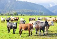 New Zealand’s Climate Report Tests Its Pacific Leadership
