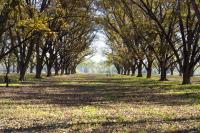 In Texas, a $10 million Lake Palestine ranch is headed for a state park, but visitors must wait