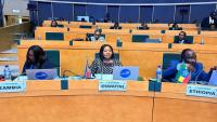 Eswatini calls for stronger regional cooperation