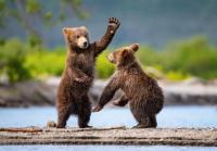 Interior Brings Back Older Alaska Rules for Hunting and Subsistence in National Parks and Preserves