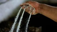 Colombia seizes 7.6 tonnes of Netherlands-bound cocaine at Cartagena port