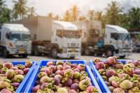 M&S, Asda and Sainsbury’s back calls for tougher human rights and environmental laws