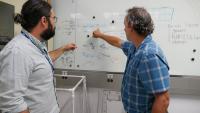 Measurement Research Could Help Devices Tell You If They’ve Been Tampered With