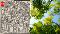 Europe’s plant diversity fell after the Black Death; recovered due to farming