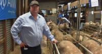 Volume buyers take home fair share of Boorana's offering at Glenthompson