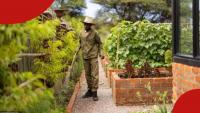 South African Cousins Turn Abandoned Limpopo School into Academy, Earn Praise
