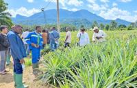 Cameroon Plans CFA8.8 Billion Organic Fertilizer Plant to Reduce Reliance on Imports