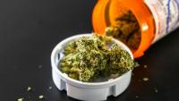 Cannabis for Chronic Pain: The Question Isn’t Just Whether It Works, but for Whom