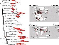 Climatic niche conservatism shapes the macroevolution, extinction, and survivorship of crocodile-line archosaurs