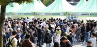 Taiwanese Tour Groups Head to Korea for Tteokbokki and Gimbap Festivals