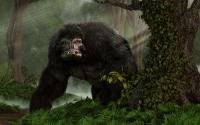 Bigfoot in Utah and Jane Goodall's Case For Keeping An Open Mind