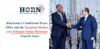 Khartoum’s Conditional Peace Offer and the Egyptian Shadow over Ethiopia-Sudan Relations