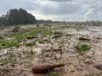Rail Baltica digs up wartime munitions in Latvia