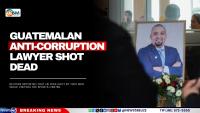 Guatemalan Anti-Corruption Lawyer Shot Dead