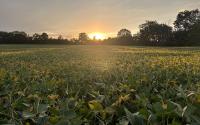 COLUMN: Examining factors impacting our farmers