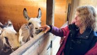 Sunshine Coast farmers says they're exhausted trying to keep animals alive