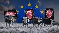 Six different perspectives on the EU free trade agreement
