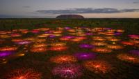 The biggest mistake travellers make when visiting Uluru