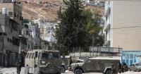 Israel detains 80 US, Israeli and UK volunteers helping Palestinians harvest olives