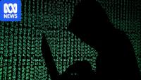 ASD among government organisations fixing website security due to hacking concerns