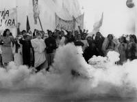 UCLA Film and Television Archive hosts 60th anniversary screening of The Battle of Algiers