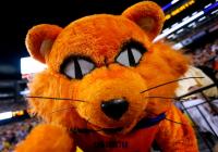 How to watch New Mexico State vs Sam Houston streaming live for free tonight