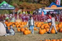 Catholic Charities of Staten Island Set for Weekend Fall Festival