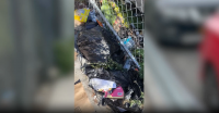 Bronx residents call for more maintenance for sidewalk area near multiple schools