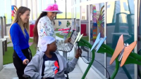 Joe DiMaggio Children’s Hospital, Rick Case Automotive Group debut interactive projection garden for patients