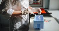 Turkey egg donor scam allegedly sold clients on promise of blond babies