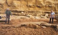 Dino-mite discovery! Belgian tourists discover the remains of a 174 million-year-old giant ichthyosaur while strolling on a beach in Dorset