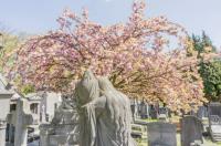 Brussels aims to create more multi-faith cemeteries