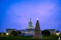 Idaho’s third US Capitol Christmas Tree comes with special honor for local girl