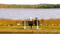 New Hampshire foliage map: Southern regions hit their peak during great weekend weather