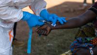 Nigeria Announces First Case of Ebola in Current Outbreak