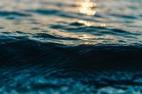 South African Swimmer Janine Lochrenberg Dies in Shark Attack