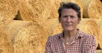 Somerset MP calls for urgent action for farmers amid 'severe drought'